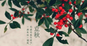 薈生敬老情 立秋送溫暖——薈生天津團(tuán)隊(duì)走進(jìn)美福敬老院開展公益活動(dòng)